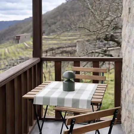 Uba Vineyard Con Vistas Al Mino Ribeira Sacra Hébergement de vacances *