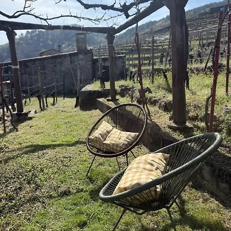 Uba Vineyard Con Vistas Al Mino Ribeira Sacra Σπίτι διακοπών Chantada